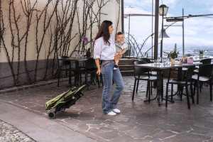 Thumbnail CARRITO DE PASEO TROLLEYME LIME