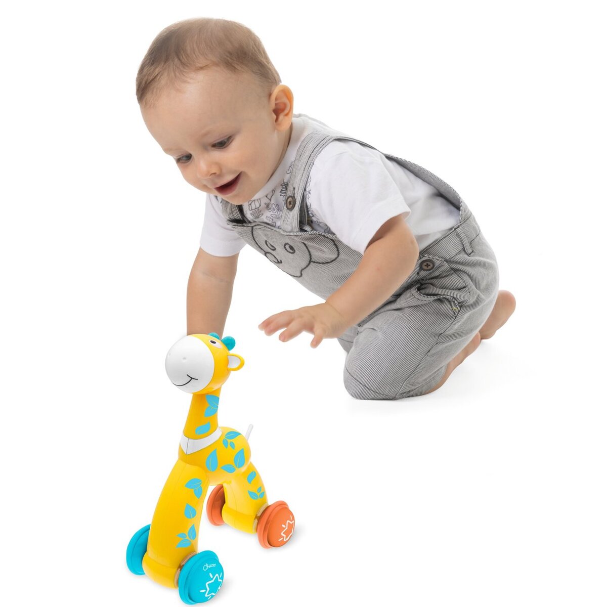 GIRAFA PUSH 