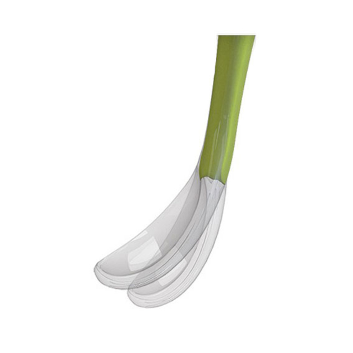 CUCHARA SUAVE SILICONA 6M+ ROSA